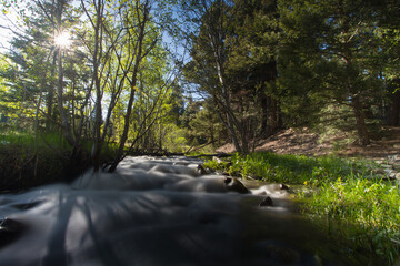 Mountain Stream Sunset