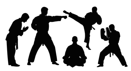 Obraz premium Explore martial arts training techniques self defense and karate moves for fitness and discipline style on transparent background silhouette