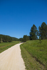 Wooden bridge on the George S. Mickelson Trail, South Dakota