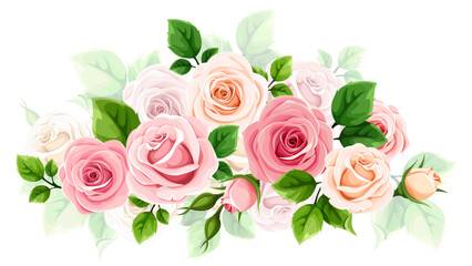 Pink and white rose flowers. Floral design element with pink and white roses and green leaves isolated on a white background. Vector illustration
