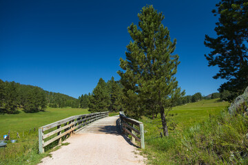Wooden bridge on the George S. Mickelson Trail, South Dakota