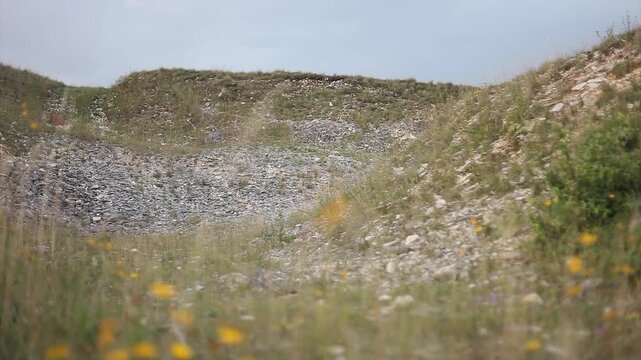 Altm&uuml;hltal Steinbruch Eichst&auml;tt Jurakalk Juramarmor Bewachsen 