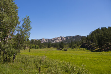 Fototapeta premium Mountainous landscape in the Black Hills of South Dakota