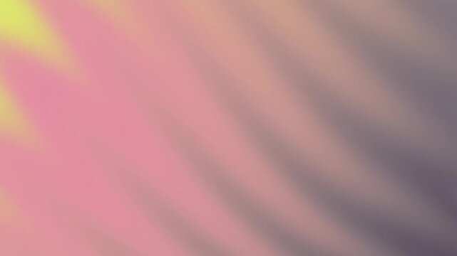 Birds Berries  Soft pink and gray gradient background animation with subtle motion and blurred texture creates calm backdrop