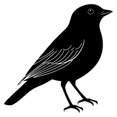 Obraz premium PNG Bird silhouette minimalist vector.