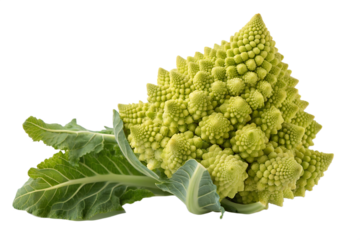 A vibrant green Romanesco cauliflower, a unique fractal vegetable, with fresh attached leaves, isolated on a clean white background for culinary concepts.