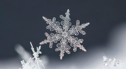 close-up of a single, intricate snowflake isolated on a transparent background