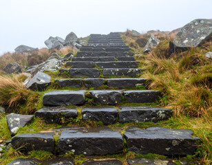 Stone steps leading up a grassy mountain path in misty weather, natural hiking trail. Generative AI