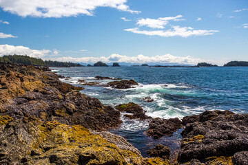 the coast of the sea