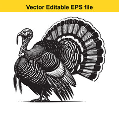Vector art of a detailed illustration of a turkey with its tail feathers fanned out