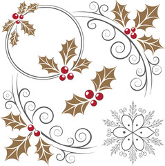 Holly berry floral decorative elements leaf brown