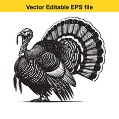 Vector art of a detailed illustration of a turkey with its tail feathers fanned out