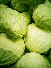 Fresh green cabbages close-up in a market display