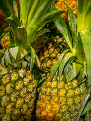 Close-up of fresh pineapples with green leaves and spiky skin in market display