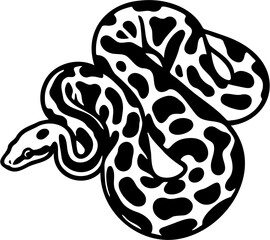 snake vector illustration, isolated on white