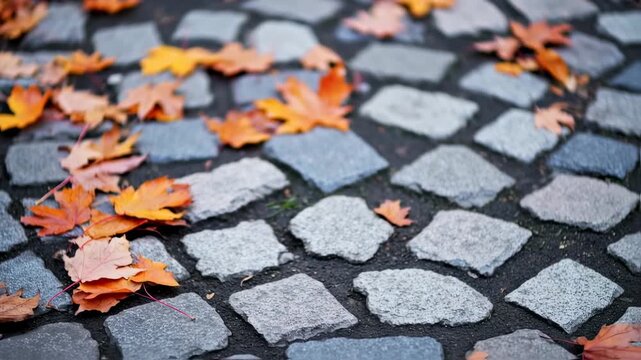 Autumn Leaves Gently Scattered on a Stone Cobblestone Street on a Fall Day