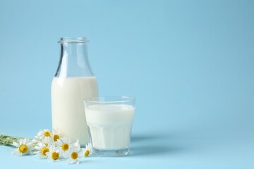 Fresh milk in bottle, glass and chamomile flowers on light blue background, space for text. Dairy...