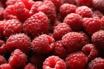 Many fresh ripe raspberries as background, closeup