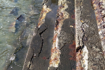 Deteriorating concrete seawall with rust stains and erosion near tidal waterline