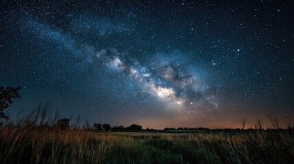 Star-filled night sky with green plants below.\
