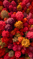 Obraz premium Aerial View of Colorful Autumn Trees Displaying Vibrant Foliage in Vivid Reds, Purples, And Oranges