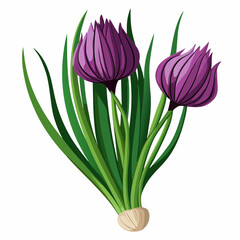 colorful illustration of a chives leaves