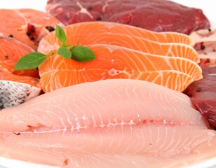 raw salmon fillet
