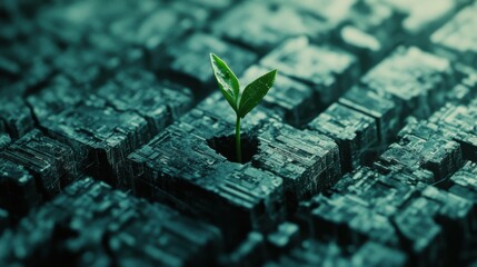 A sprout emerges from a network of weathered blocks.