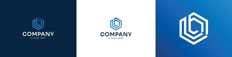 Abstract letter B or D monogram logo inside a hexagon. Modern linear design concept for a technology or business company identity.