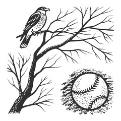 Stylized illustration of a bird perched on a bare tree branch with a baseball in the background