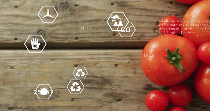 Hand-icon sliding from left starting code showing tomato-cluster growing with icons animating data