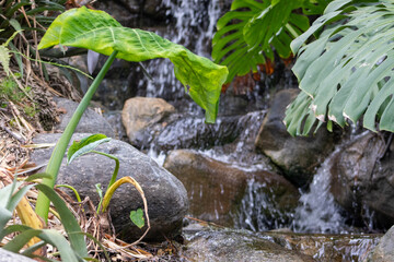 water flowing from the rocks