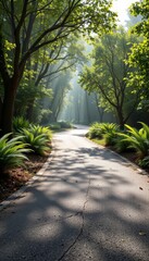 Sunlit Road Through Forest