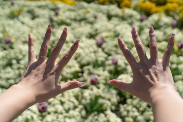 Hands Open in Spring Flowers③
