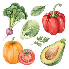 Watercolor Assorted Fresh Vegetables on White Background