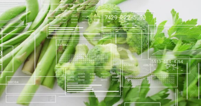 Overlays fading in over asparagus, scanning broccoli and parsley and updating data for analysis