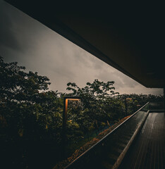road in the night