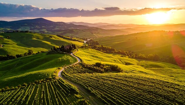 Breathtaking Tuscany landscape at golden hour with rolling hills and vineyards - Powered by Adobe