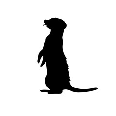 Vector silhouette cat and dog design.
