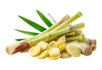 Fresh lemongrass rope and lemongrass slices  isolated on a transparent background