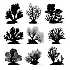 vector illustration of coral silhouette set, Black & White silhouette set