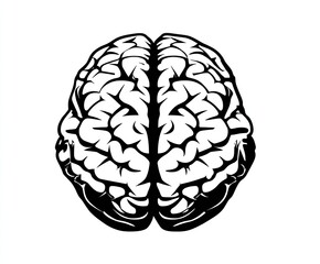 A stylized, black and white illustration of a human brain.  The brain is depicted from a top-down view, showing the cerebral hemispheres and intricate folds