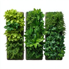 Naklejka premium Three Vertical Green Living Walls vertical garden plants