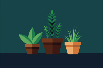 Fototapeta premium potted herb garden with rosemary thyme basil an.eps