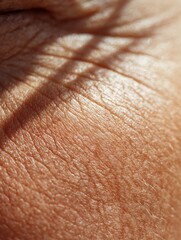 Fototapeta premium Exploring the Intricate Details of Skin Texture Illuminated by Sunlight With Abstract Focus and Blank Margins
