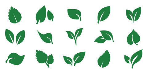 Leaf sprout icon vector set, green leaves plant eco logo symbol simple graphic illustration set, vegan fresh herb pictogram shape sign, organic natural healthy logotype Vector illustration EPS 10. 