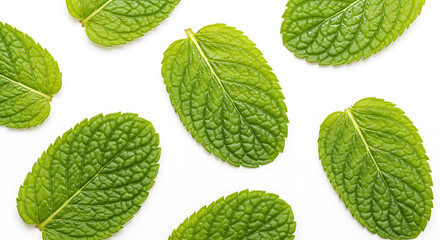 Fresh Mint Leaves for Culinary and Medicinal Use
