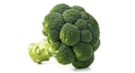 Fresh Green Broccoli Head Isolated on White Background Healthy Food