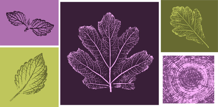 Trendy floral branch tree rings and grass for logo or decorations. Hand drawn line elegant leaves for invitation card. Botanical rustic trendy vector art.