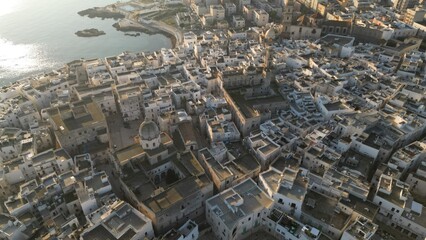 Aerial View of Coastal Town: A stunning aerial perspective of a coastal town, showcasing a labyrinth of sun-kissed rooftops. Monopoli, Puglia